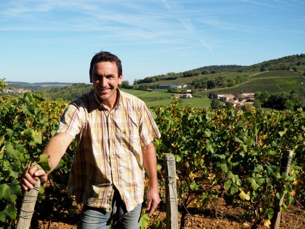 Domaine des Bruyères - Couleur Vin