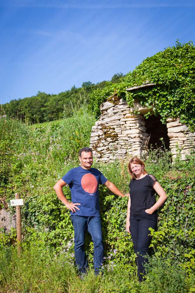 Domaine Rollin - Couleur Vin