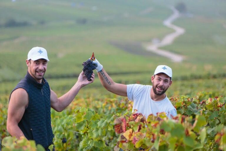 Champagne Pernet & Pernet - Couleur Vin