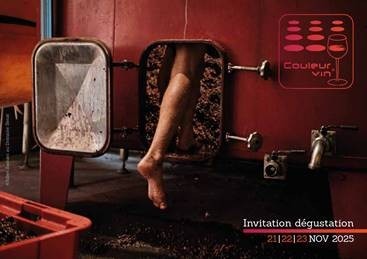 Invitation Grande dégustation Couleur Vin 2025