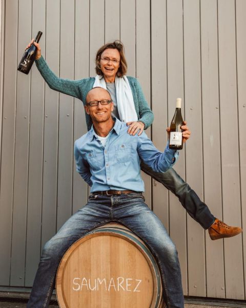 Domaine de Saumarez - Couleur Vin