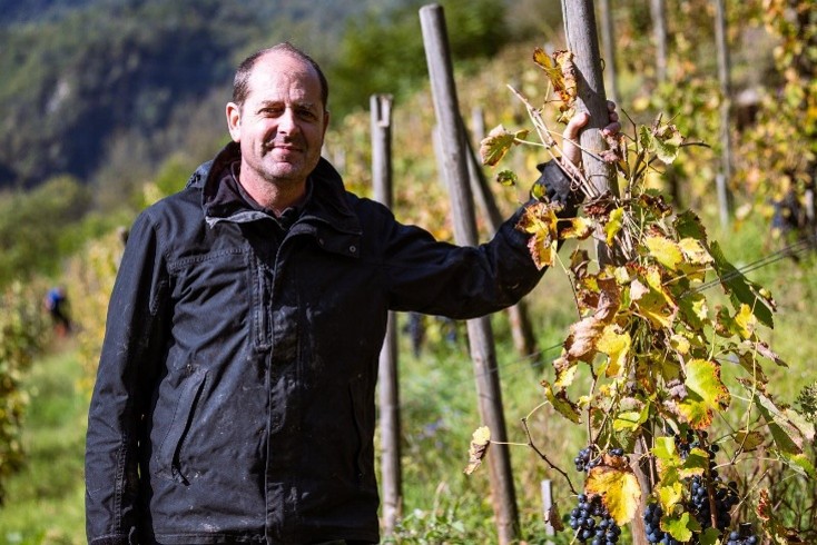 Domaine des Ardoisières - Couleur Vin