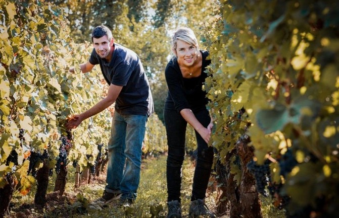 La Grande Clotte - Couleur Vin